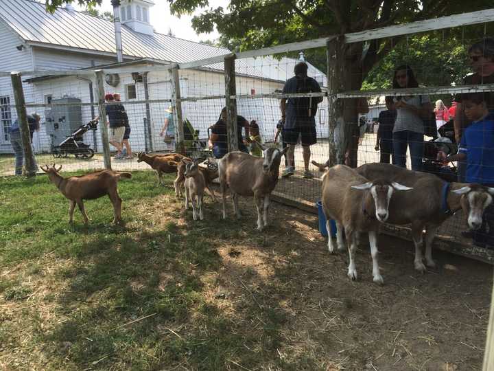 Before its development as a county park, the 777-acre Muscoot Farm was a private farm.