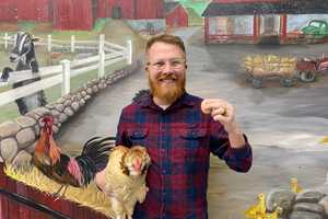 'It's Hen Day': Muscoot Farm's Cluxatawney Henrietta Predicts Early Spring