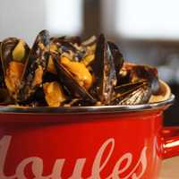 <p>Mussels with roasted fennel, saffron and a touch of cream</p>