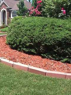 College Of New Rochelle's Mulch Mowing Demonstration Rescheduled