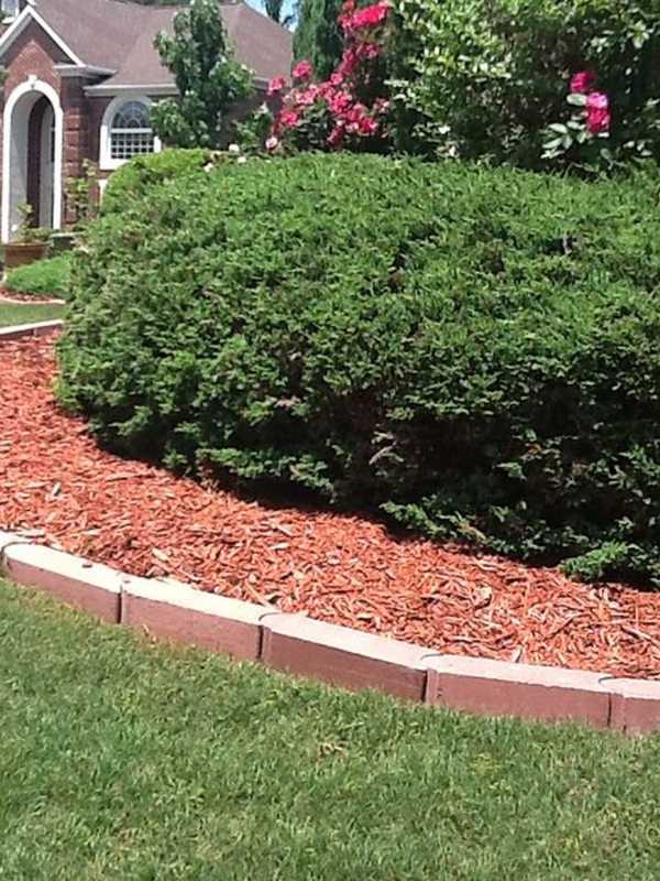 College Of New Rochelle's Mulch Mowing Demonstration Rescheduled