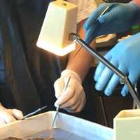 <p>Nitrile gloves and protective eye goggles were delivered to Waveny Care Center from New Canaan High School for use by the staff there. NCHS students are shown wearing nitrile gloves during a biology lab session.</p>