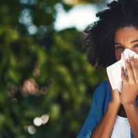 Treating Seasonal Allergies Holistically