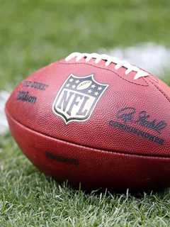 Elmwood Park Beefsteak, Super Bowl Party Raises Funds, Fun