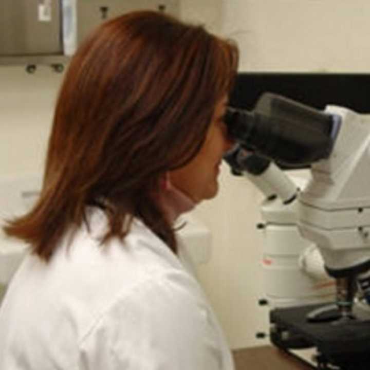 Forensic scientist analyzes DNA at NJ State Police lab.