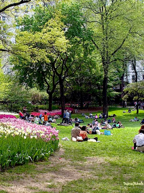 English Photographer To Exhibit Work At Wyckoff YMCA