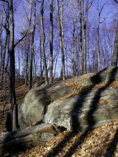 Friends, Family Invited To Lewisboro Land Trust Hike
