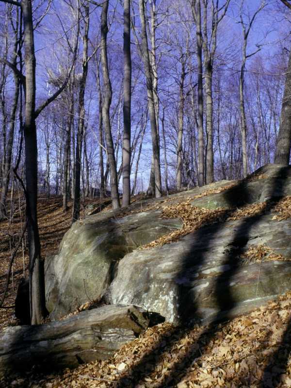 Friends, Family Invited To Lewisboro Land Trust Hike