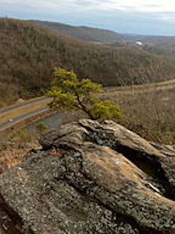 ID Released For Man Found Dead At Naugatuck State Forest