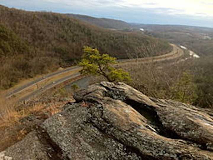 Naugatuck State Forest