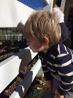 Students From Danbury's Wooster School Visit New Pond Farm 