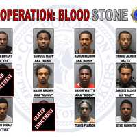 Violent Blood Stone Gang Members Nabbed In Westchester
