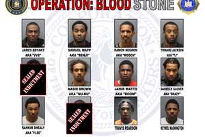 Violent Blood Stone Gang Members Nabbed In Westchester