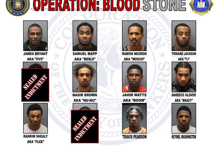Violent Blood Stone Gang Members Nabbed In Westchester