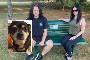 Danzig Bass Player, Wife Dedicate Bench In NJ Park In Memory Of Beloved Chihuahua