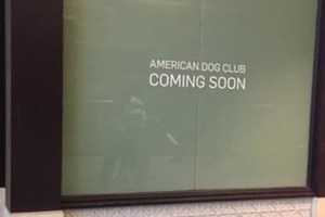 Petition Seeks To Block New Pet Store From Opening At Trumbull Mall