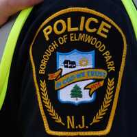 HERO IN BLUE: Elmwood Park Police Officer Stops Boy, 15, From Suicide Jump