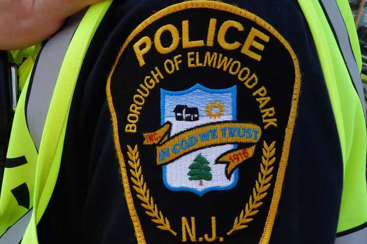 HERO IN BLUE: Elmwood Park Police Officer Stops Boy, 15, From Suicide Jump