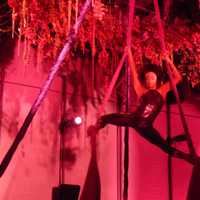 <p>An arial performer entertains in the Cirque room at the HackensackUMC Foundation 2015 Donor Recognition Gala. </p>