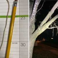 Fair Lawn PD Says String Wasn’t A Noose, 'Not A Deliberate Act'