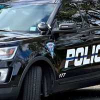 Fingerprints Lead To Charges Against Adult, Juveniles In PalPark Vehicle Theft