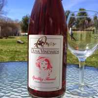 <p>Wine, spirits and hard ciders made in the region will be available to sip at The Hudson Valley Wine &amp; Chocolate Festival in Patterson on Saturday, April 1 to Sunday, April 2.</p>