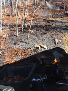 Downed Power Line Causes Brush Fire In Westport