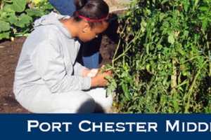 Port Chester Middle School Marks 50th Anniversary