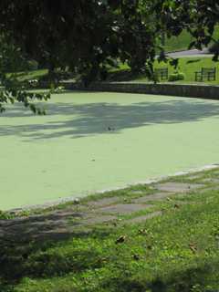 Greenburgh Looking To Improve Crane's Pond