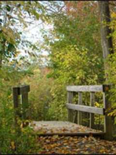Dutchess County Program To Sharpen Adult Survival Skills