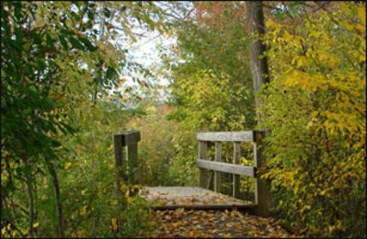 Dutchess County parks staff teaches adults survival skills Nov. 14 at Bowdoin Park in Poughkeepsie.