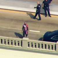 High Drama (VIDEO): Watch Police Grab Disturbed Man Who Closed Pulaski Skyway