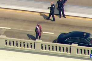 High Drama (VIDEO): Watch Police Grab Disturbed Man Who Closed Pulaski Skyway