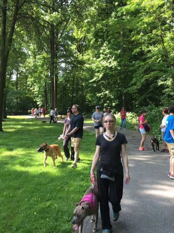 Paramus Pack Walk Helps Owners, Dogs Bond