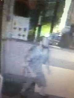 Police Release Surveillance Images Of Suspect In Cortlandt Burglary
