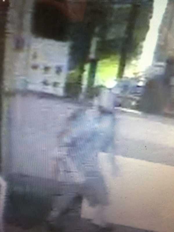Police Release Surveillance Images Of Suspect In Cortlandt Burglary