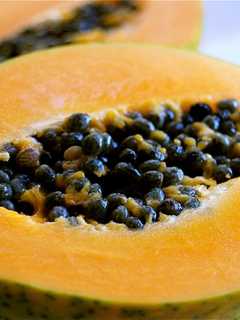 Salmonella Outbreak In Connecticut Linked To Papayas From Mexico