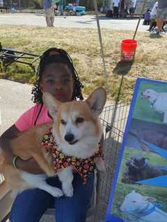 Elmsford Animal Shelter Marks Milestone, Plans Fundraising Events
