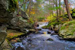 Woman Dies After Being Pulled From Pequonnock River