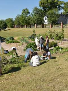 Learn To Farm For Yourself At WCSU In Danbury