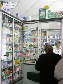 Maywood Municipal Alliance Organizes Pharmacist Senior Luncheon