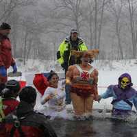 Beacon Man Takes The Plunge To Help Fight Alzheimer's