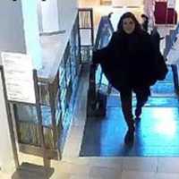 <p>Police are searching for a woman accused of stealing a handbag worth $1,500 from a Long Island store.</p>