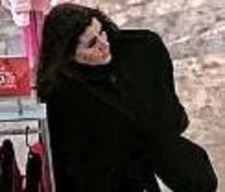 Police are searching for a woman accused of stealing a handbag worth $1,500 from a Long Island store.