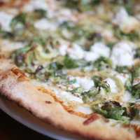 <p>Terra in Danbury serves pizza with brussels sprouts, goat cheese,  thin-sliced lemon, mozzarella and a balsamic glaze.</p>