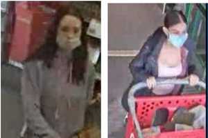 Seen Them? Authorities Search For Duo Accused Of Stealing From Suffolk County Target