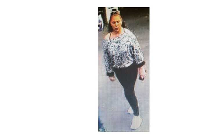 Police Search For Woman Accused Of Stealing Handbag, $900 From Commack Yard Sale