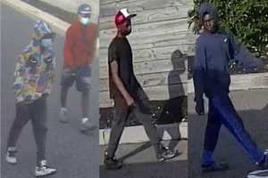 Know Them? Four Wanted For Setting Fire To Vehicles In Parking Lot Of Store In Valley Stream