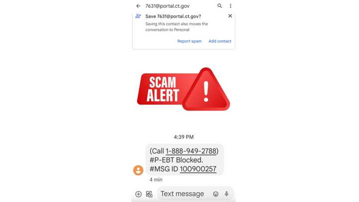 An example of the scam texts