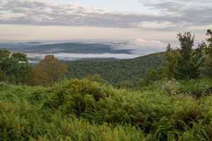 Pittstown State Forest Doubles In Size After New Acquisition, Officials Say